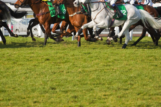 The Cheltenham Festival – Broadway saddles up!